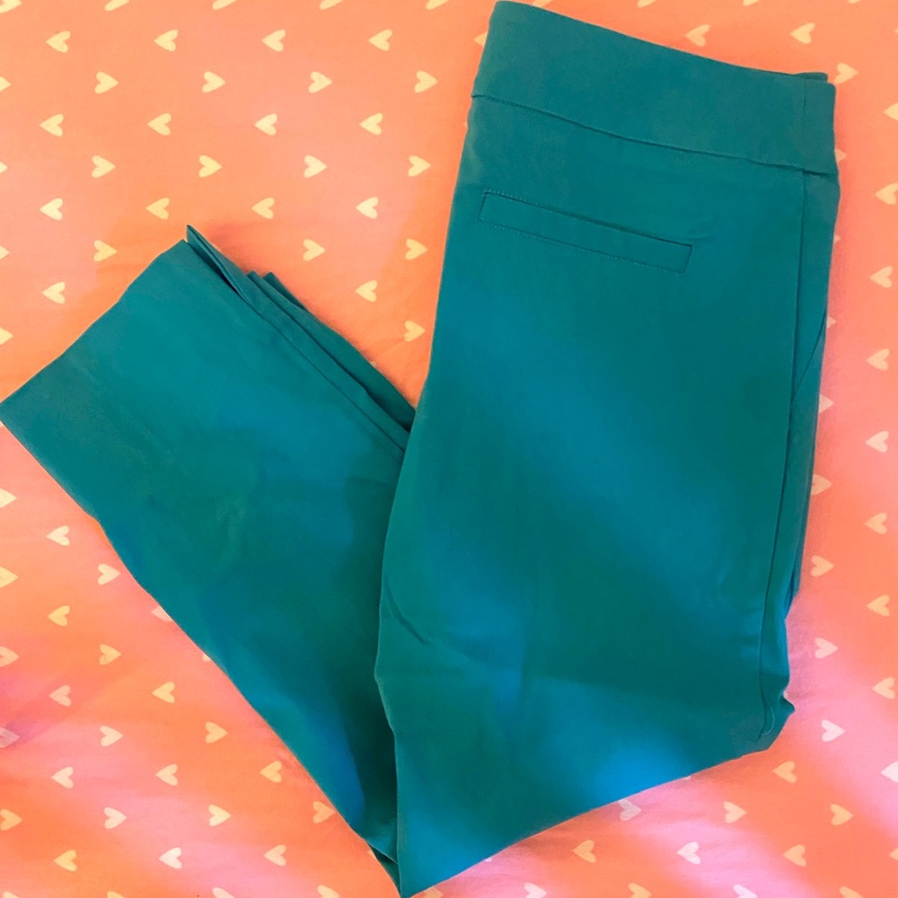 Woman’s dress pants. Stretchy. Brand new never worn.